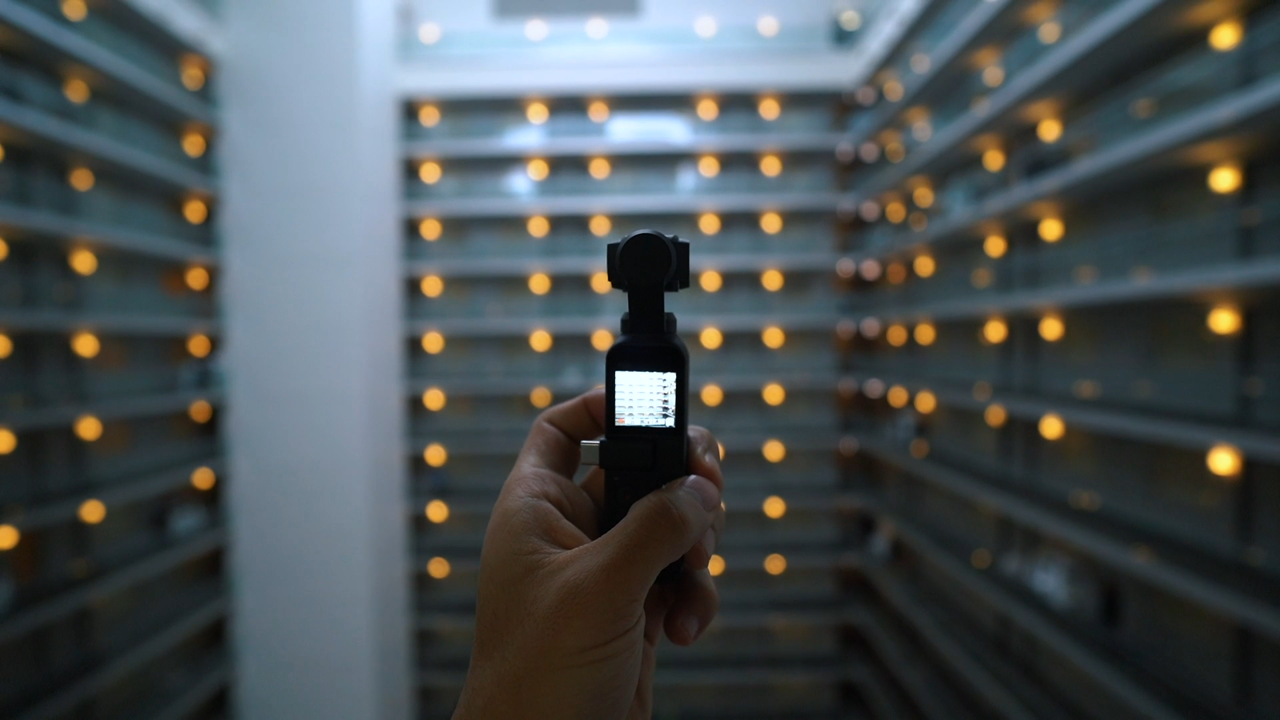 The rhythm and inspiration of communication